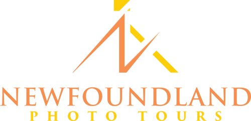 A logo of the foundling photo tour