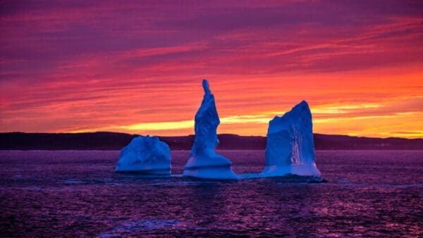 Three icebergs floating in the ocean at sunset.