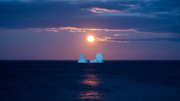 Two icebergs floating in the ocean at sunset.