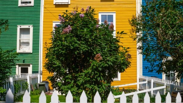 A yellow house with a tree in front of it.