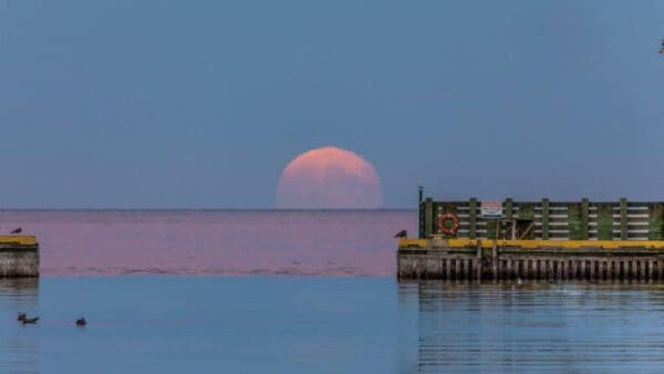 A full moon setting over the ocean with a pier in front of it.